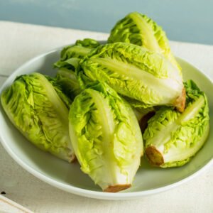 MINI COGOLLOS LECHUGA